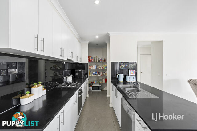 81 Terrene Terrace POINT COOK VIC 3030