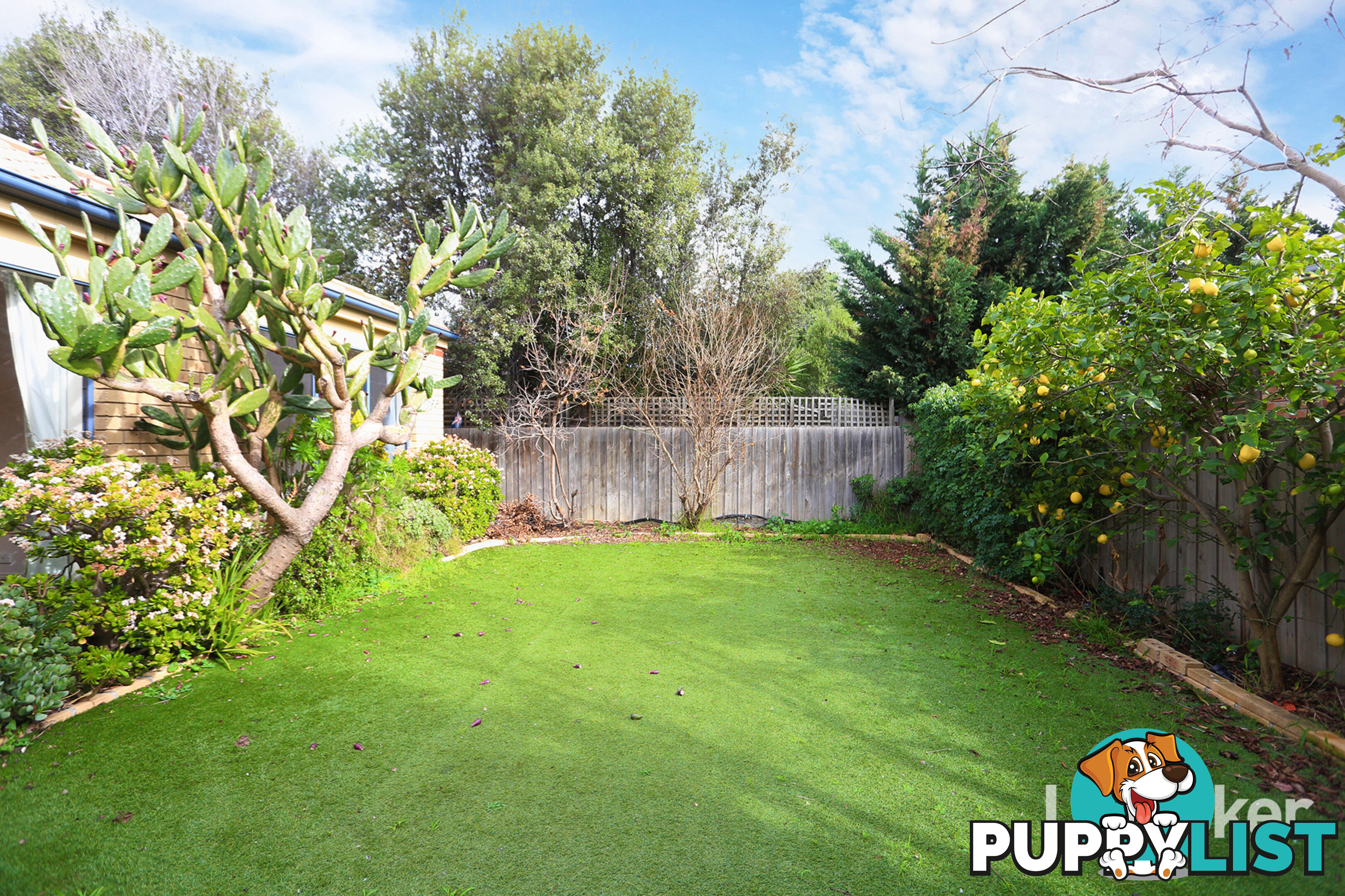 17 Dorrington Street POINT COOK VIC 3030