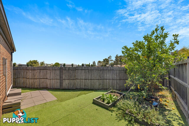 117 Talliver Terrace TRUGANINA VIC 3029