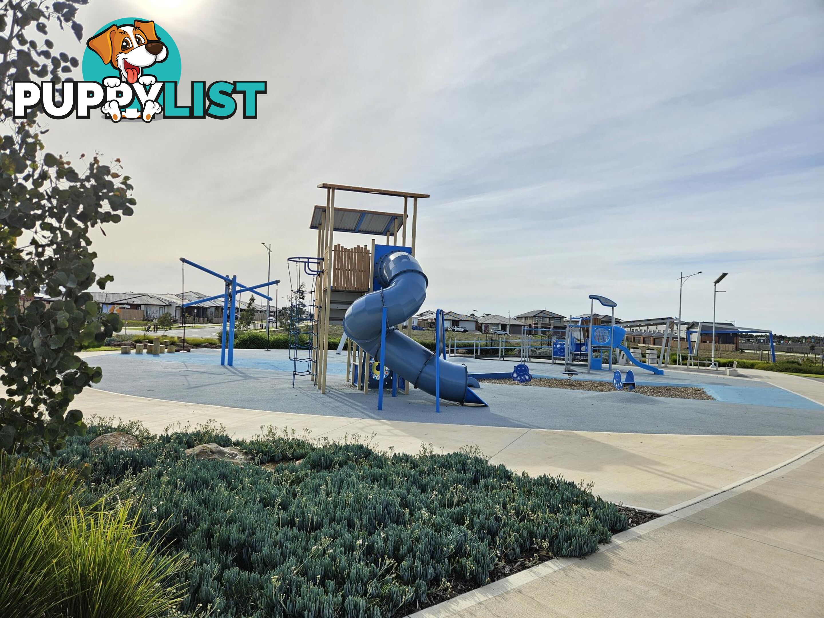 11 Xenia Street MANOR LAKES VIC 3024