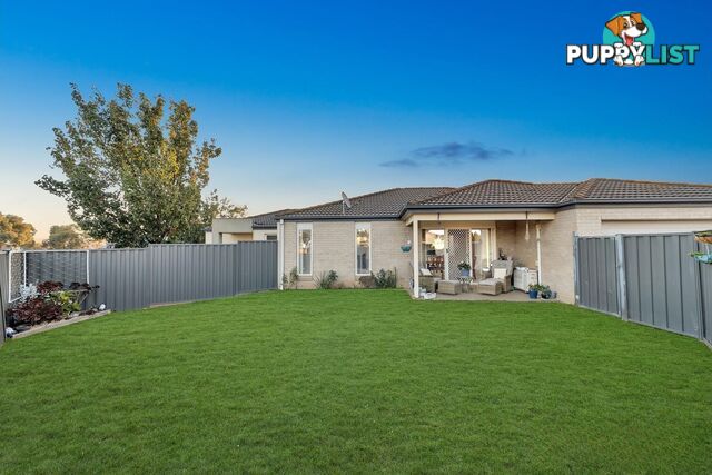 18 Carisbrook Circuit TRUGANINA VIC 3029