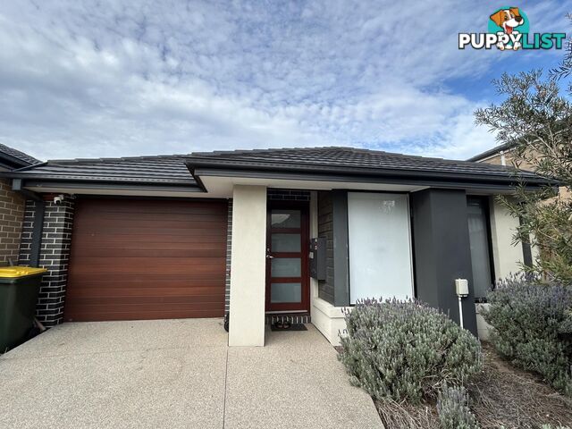 6 Airmaid Drive WILLIAMS LANDING VIC 3027