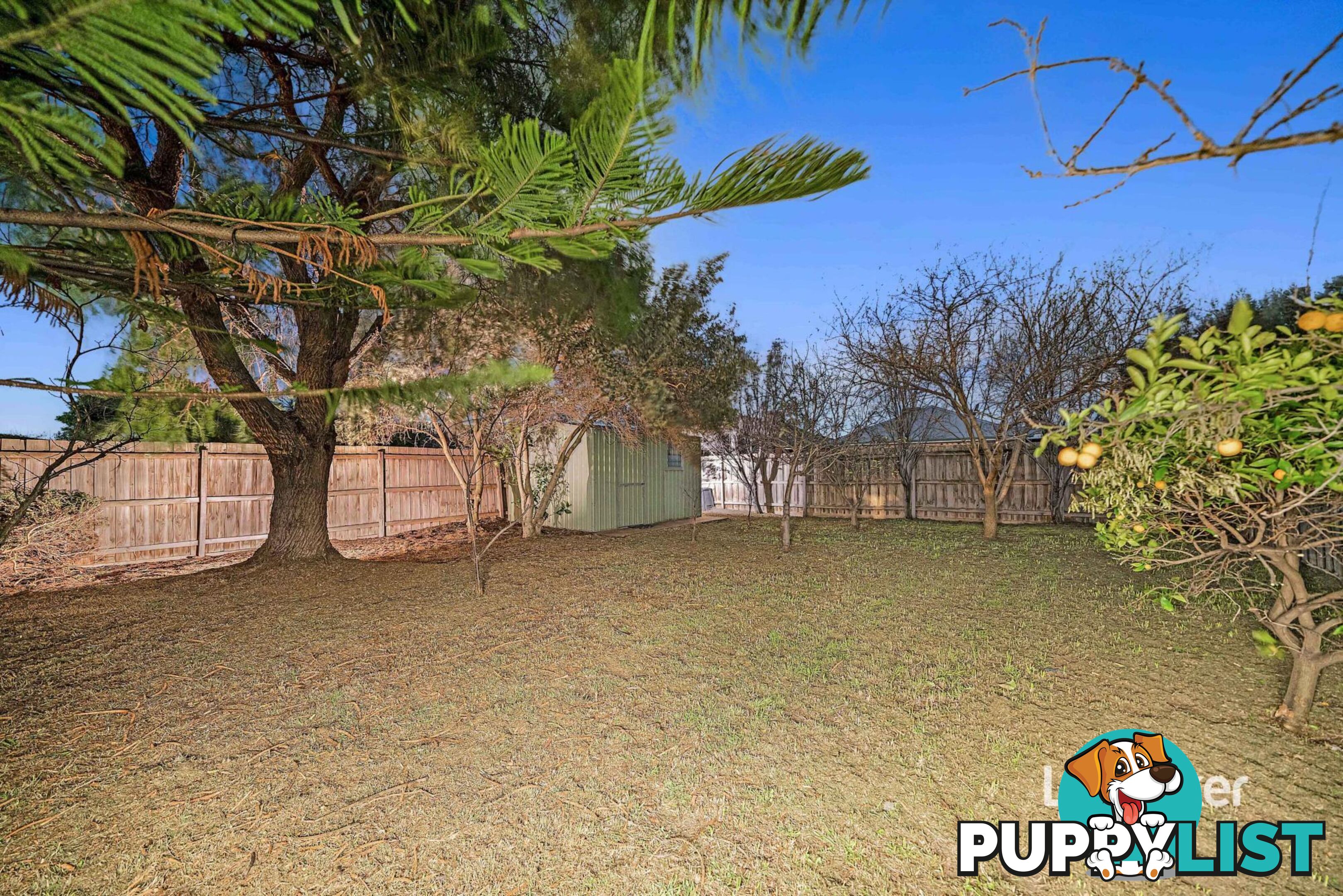 104 Foxwood Drive POINT COOK VIC 3030