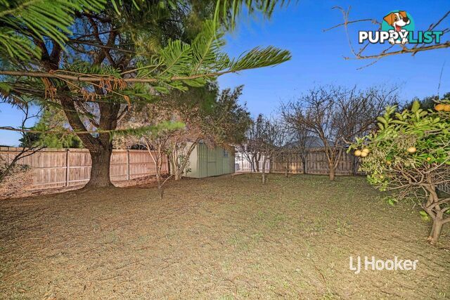 104 Foxwood Drive POINT COOK VIC 3030