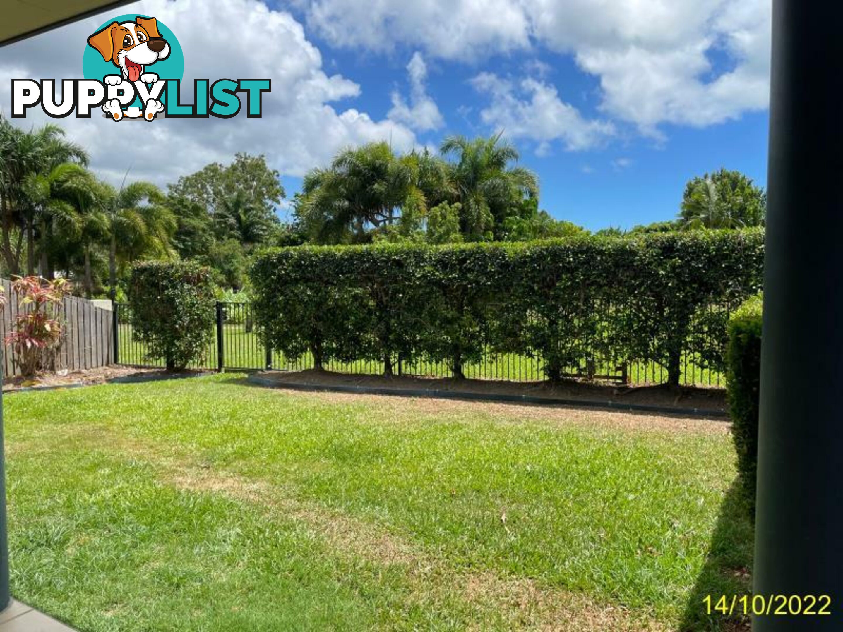 97 Abell Road Cannonvale QLD 4802