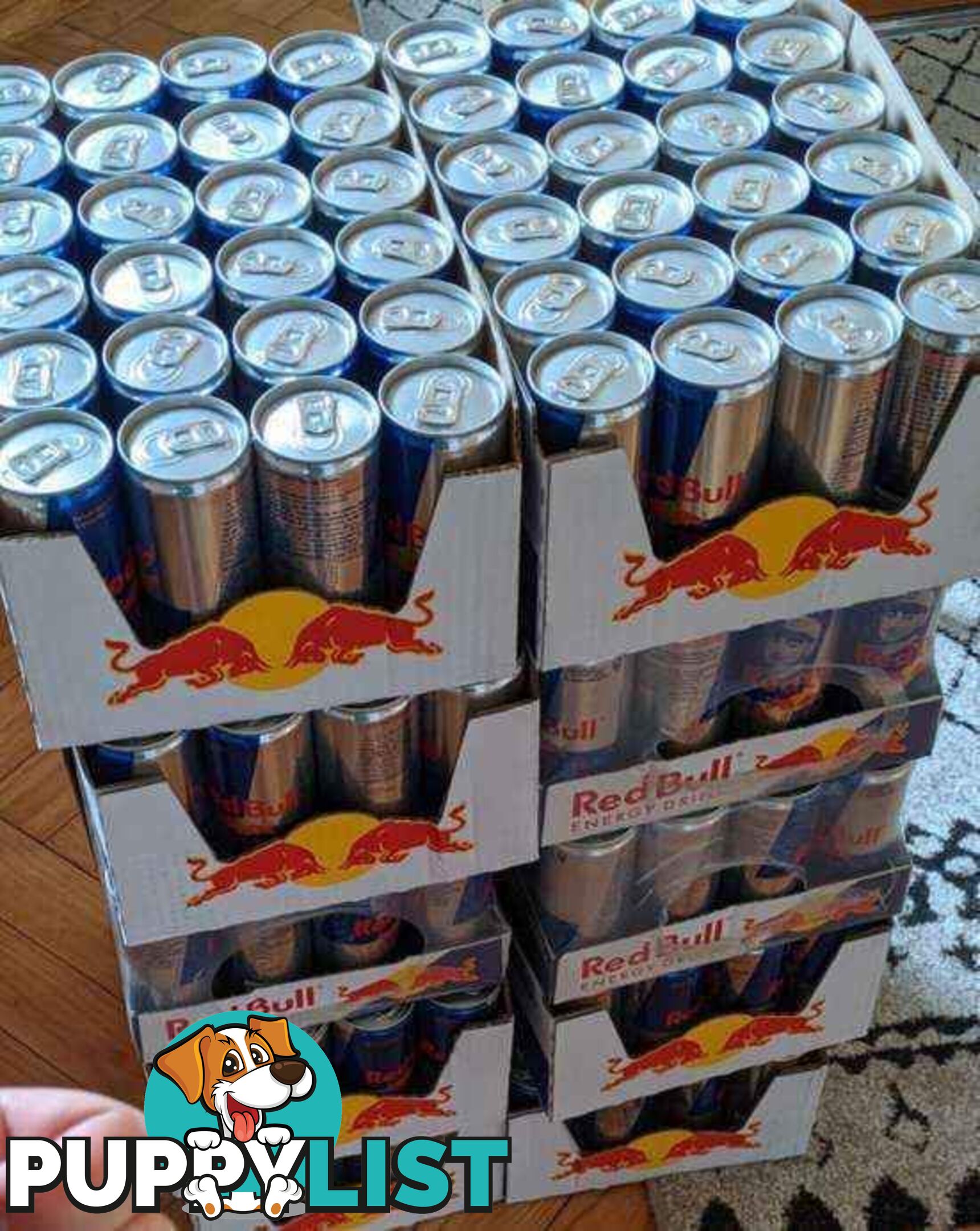 Redbull Energy Drink