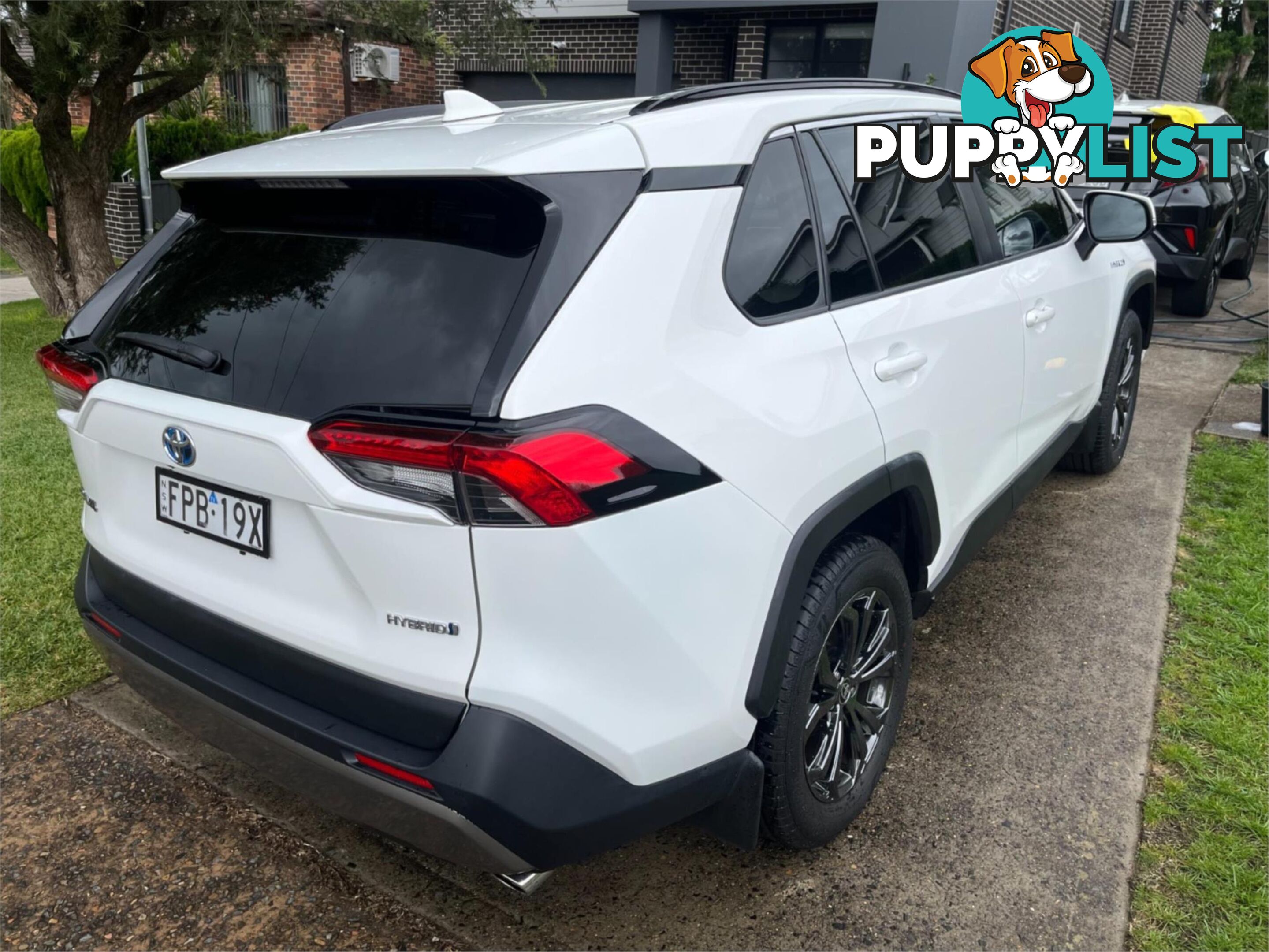 2021 TOYOTA RAV4 GXL AXAH52R 5D WAGON