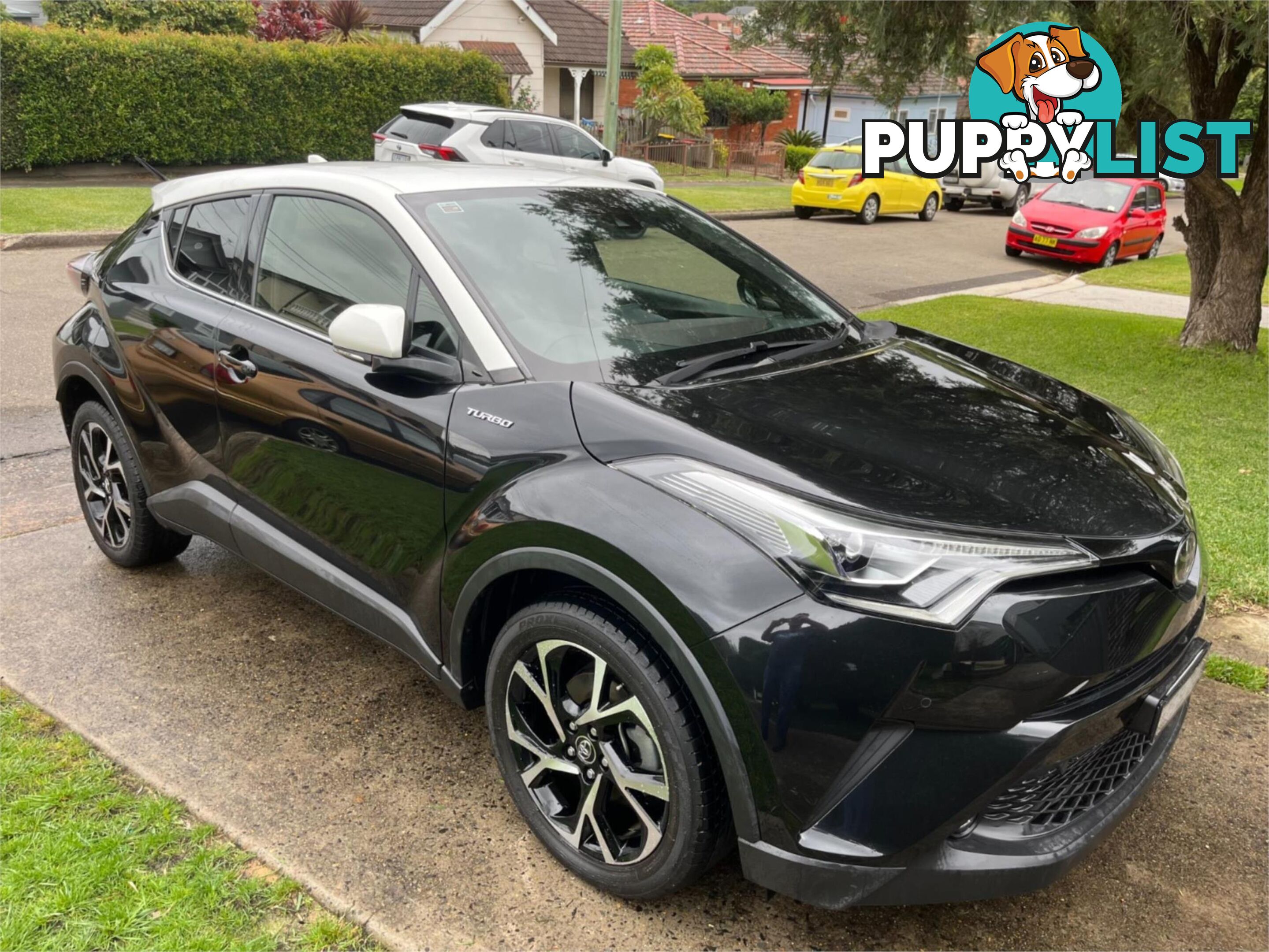 2017 TOYOTA C-HR  NGX10RUPDATE 4D WAGON