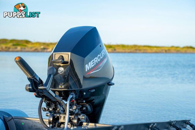 MERCURY 25 HP EFI FOURSTROKE