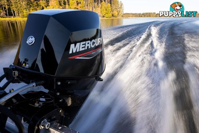 MERCURY 30 HP EFI FOURSTROKE