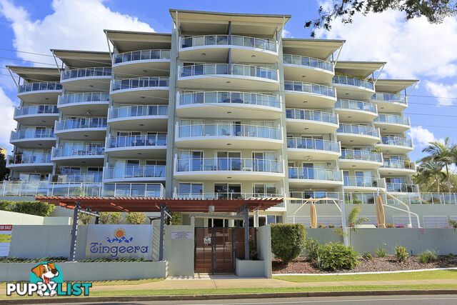 602/239 Esplanade PIALBA QLD 4655