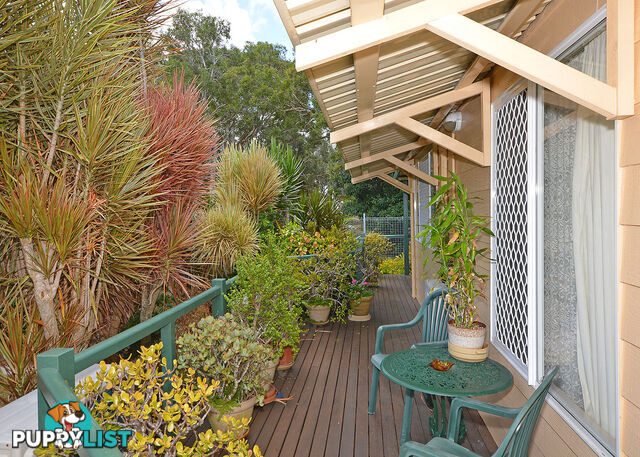 359 Esplanade SCARNESS QLD 4655