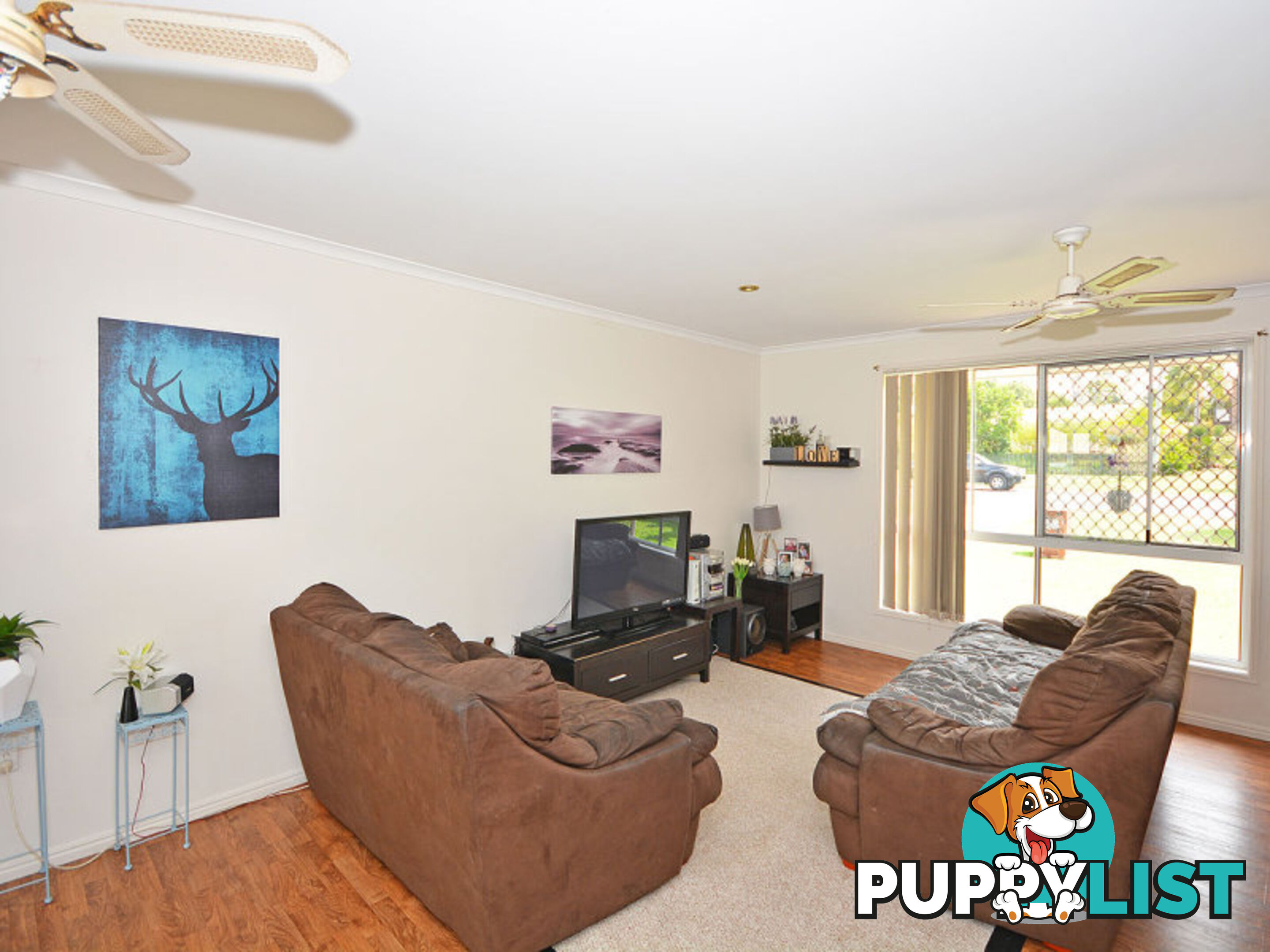 77 Exeter Street TORQUAY QLD 4655