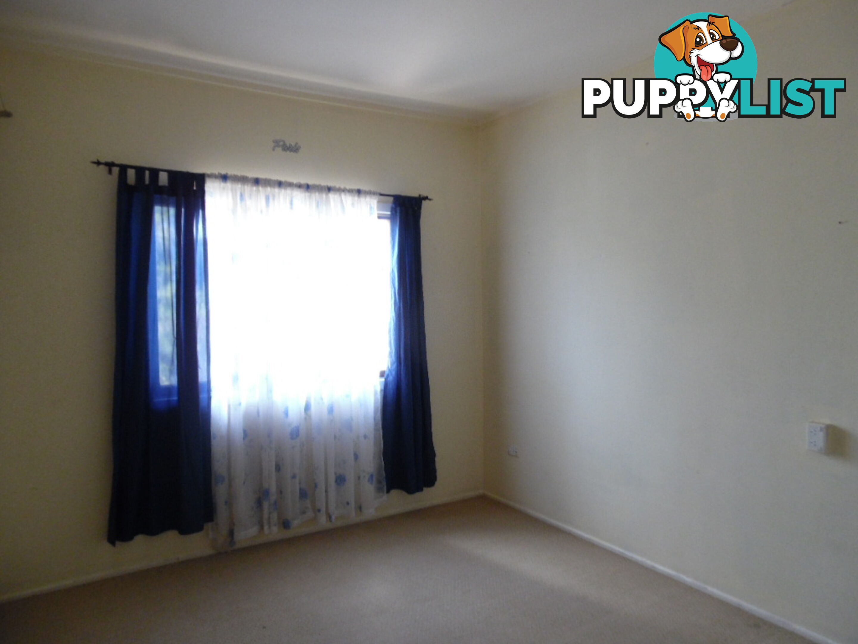 6 Newhaven Street PIALBA QLD 4655