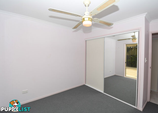 3 Cleo Court TORQUAY QLD 4655