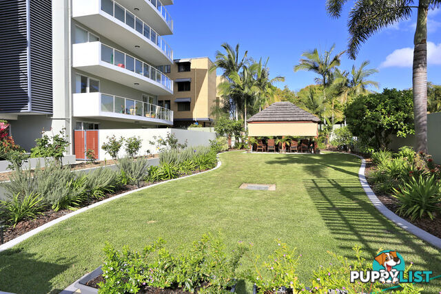 602/239 Esplanade PIALBA QLD 4655