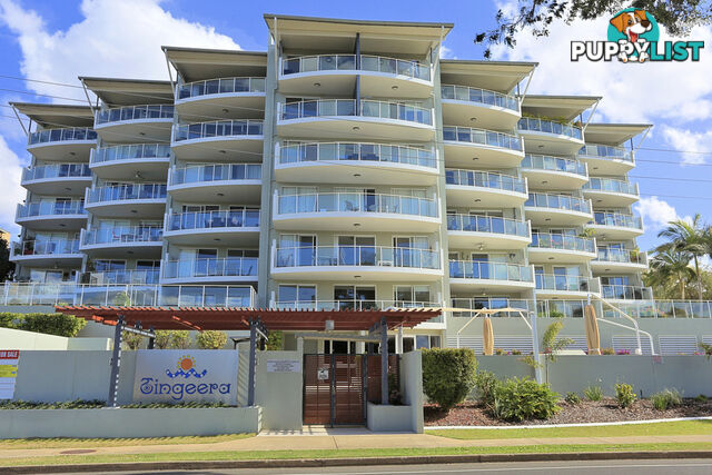 602/239 Esplanade PIALBA QLD 4655