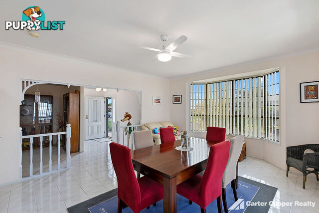 4 Ungowa Avenue PIALBA QLD 4655