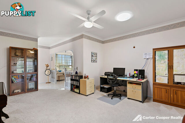 4 Ungowa Avenue PIALBA QLD 4655