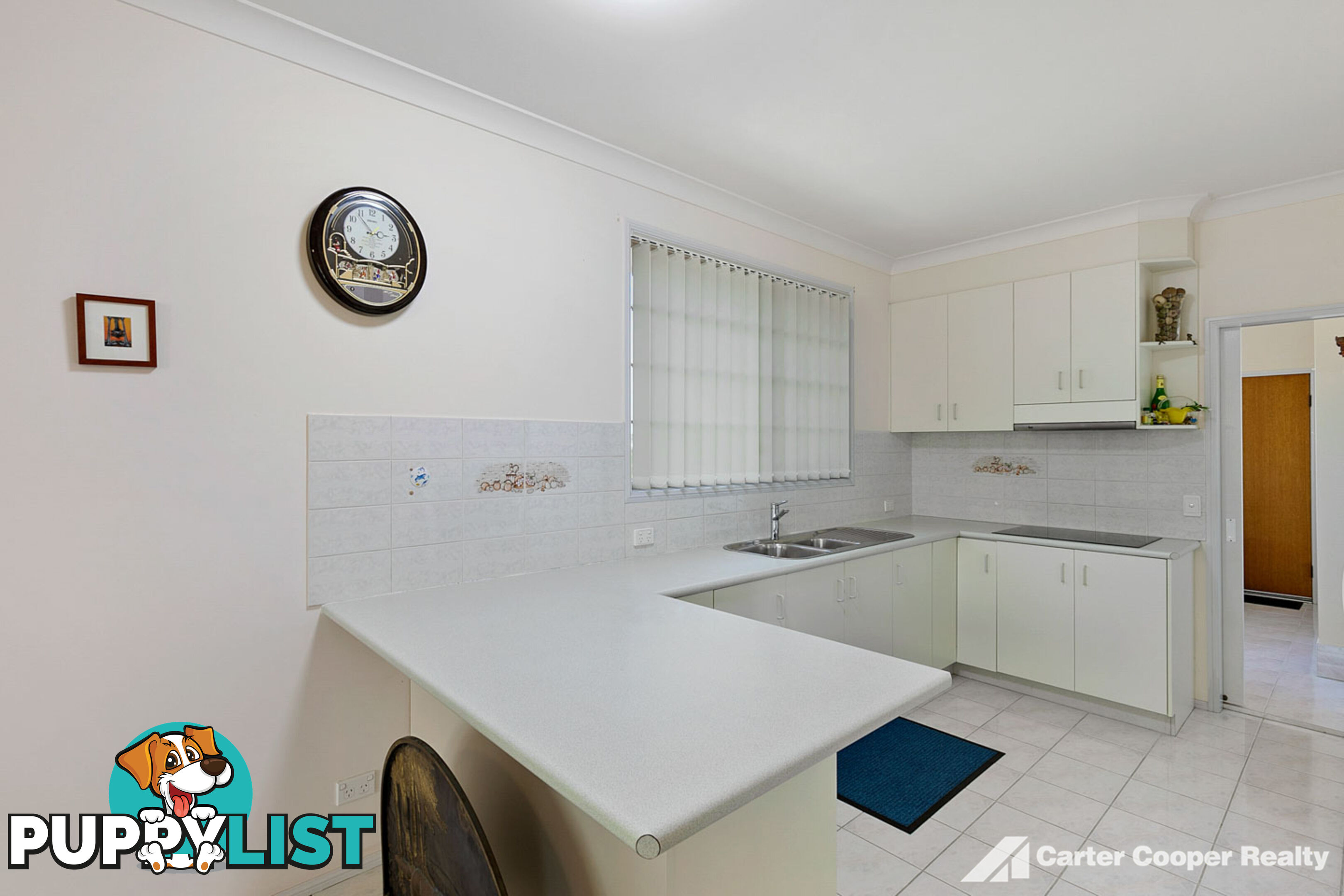 4 Ungowa Avenue PIALBA QLD 4655