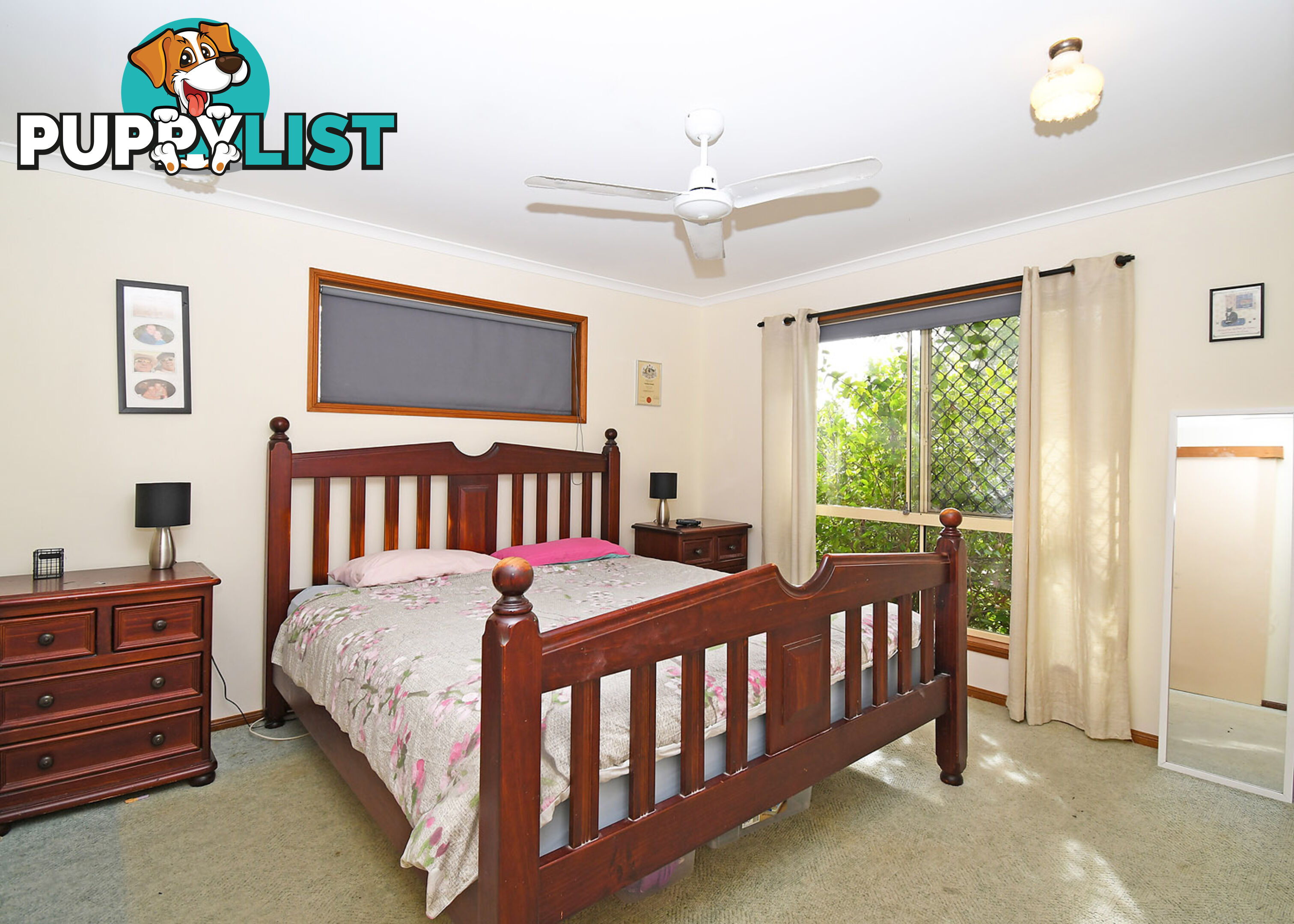 38 Thornbill Drive ELI WATERS QLD 4655