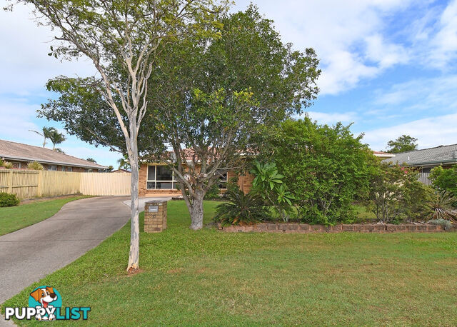 38 Thornbill Drive ELI WATERS QLD 4655