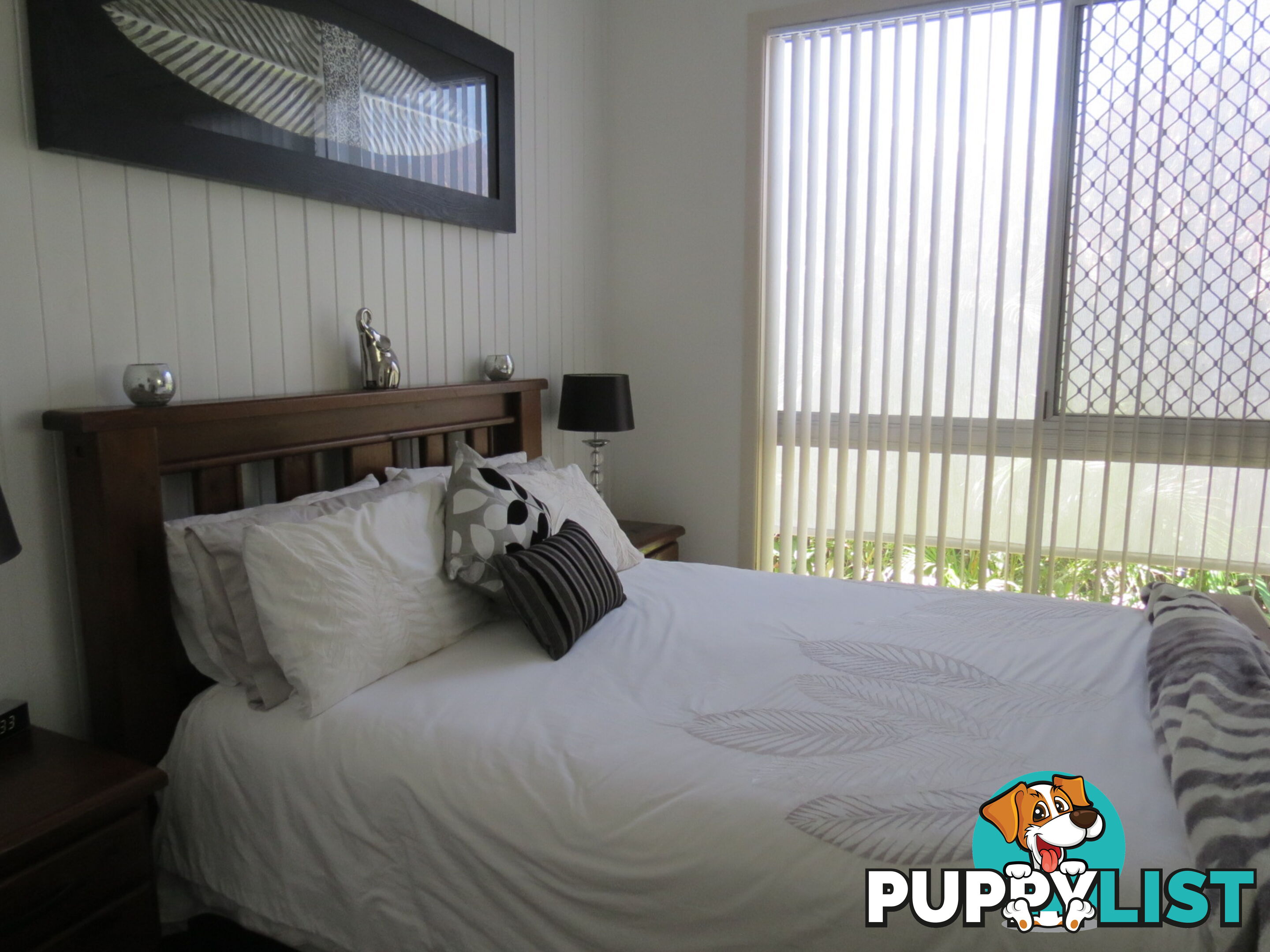 56 Shell Street URANGAN QLD 4655