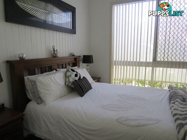 56 Shell Street URANGAN QLD 4655