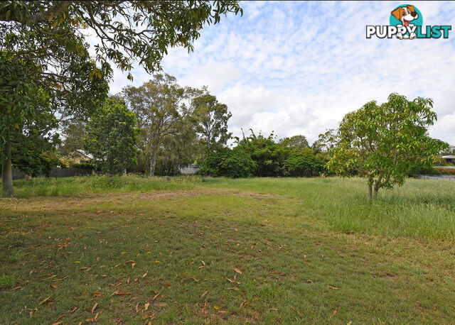 13 Truro Street TORQUAY QLD 4655