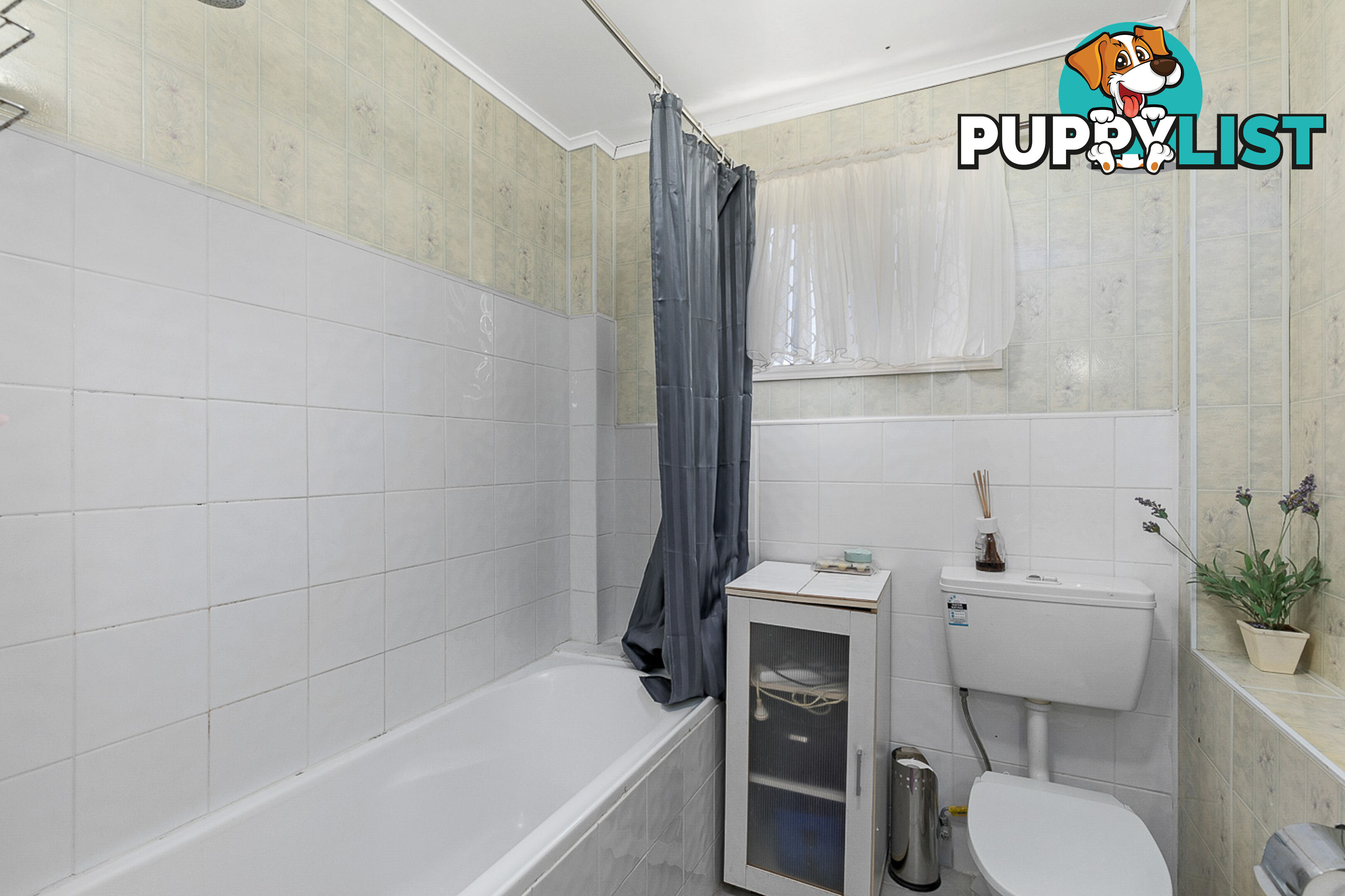 18 Watson Street PIALBA QLD 4655