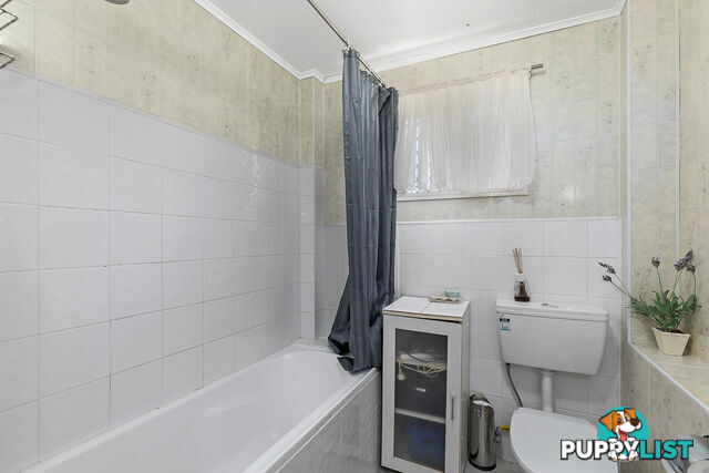 18 Watson Street PIALBA QLD 4655