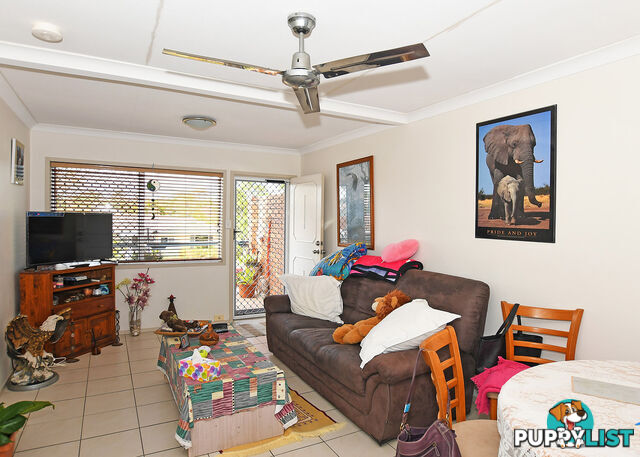 6/16 Campbell Street TORQUAY QLD 4655