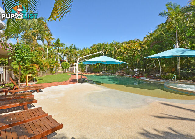 647/386 Esplanade TORQUAY QLD 4655