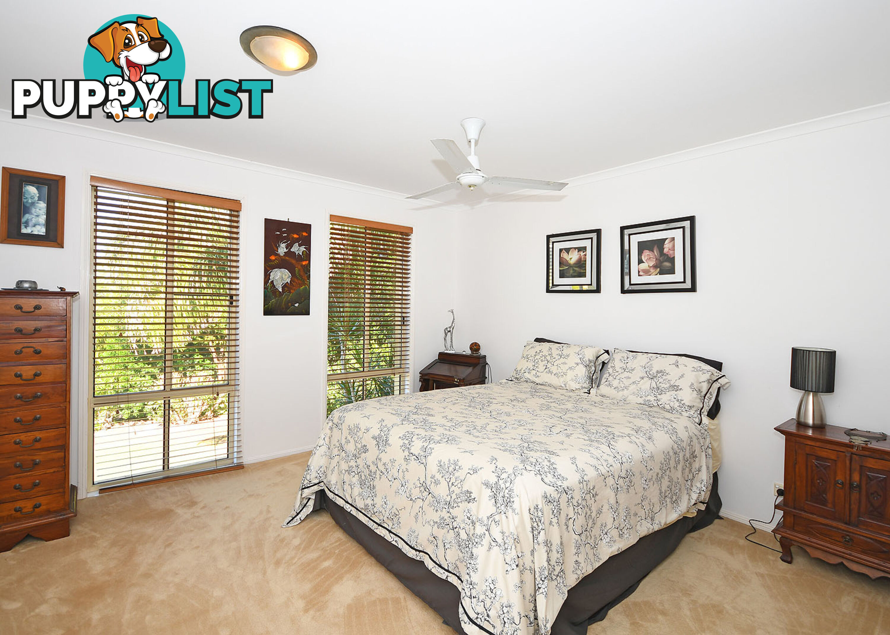 1 Ash Court DUNDOWRAN BEACH QLD 4655