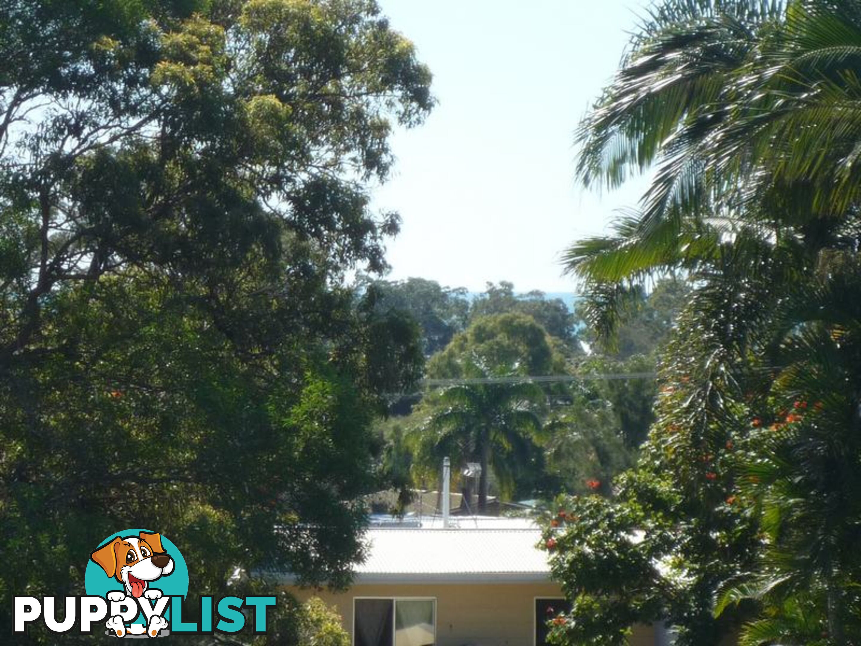 12 Hillcrest Avenue SCARNESS QLD 4655