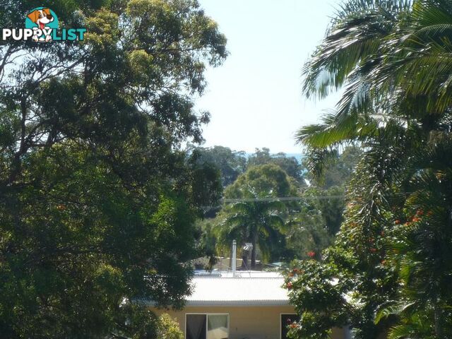 12 Hillcrest Avenue SCARNESS QLD 4655