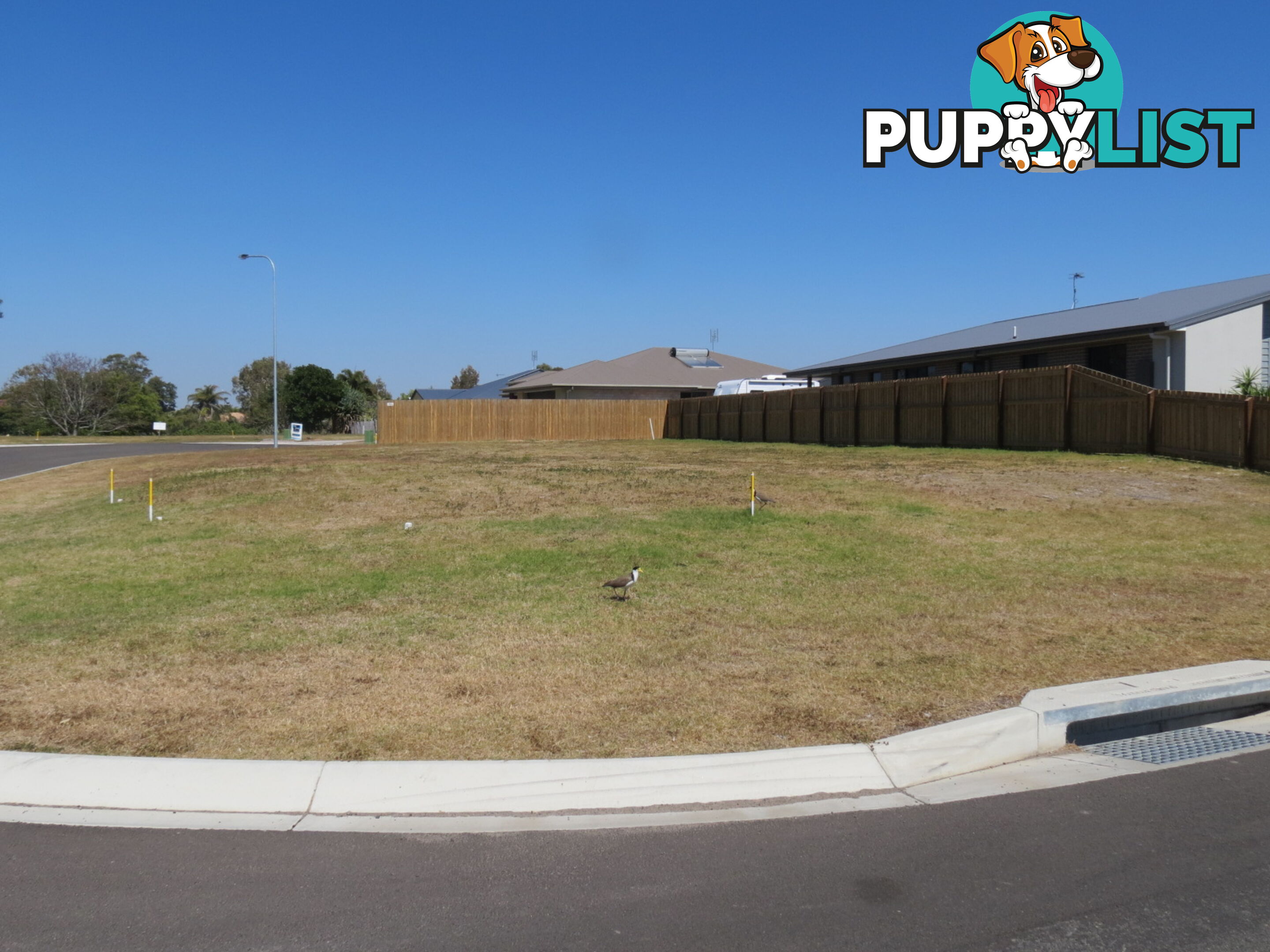 167 Truro Street URANGAN QLD 4655