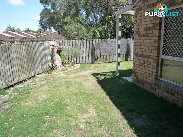 5/133 Freshwater Street TORQUAY QLD 4655