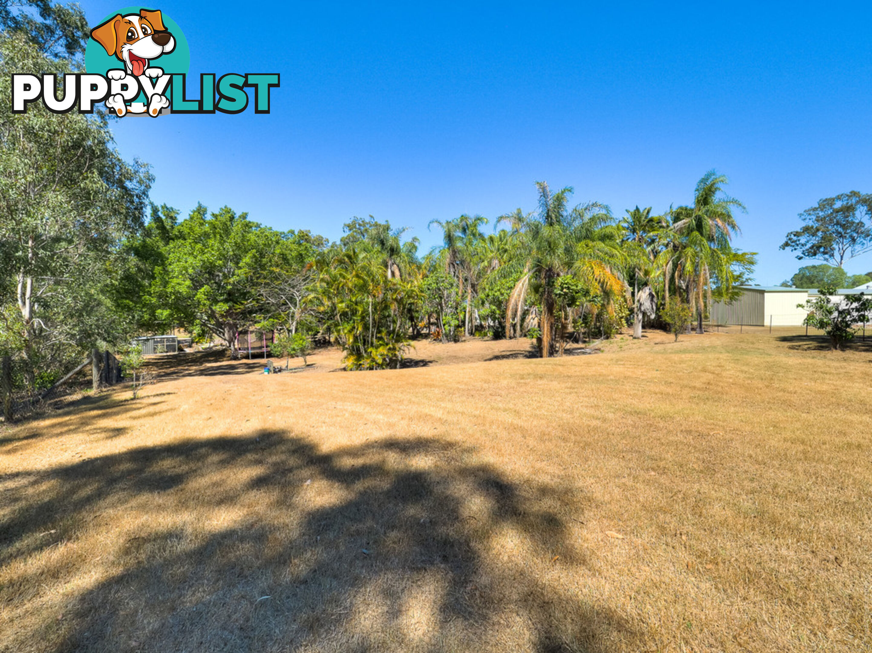 54 Dreamtime Avenue BURRUM HEADS QLD 4659