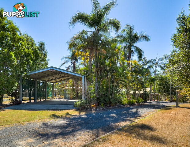 54 Dreamtime Avenue BURRUM HEADS QLD 4659