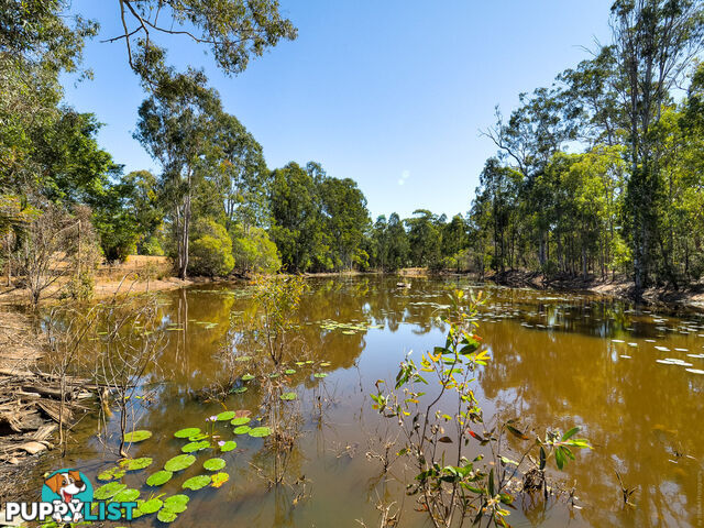 54 Dreamtime Avenue BURRUM HEADS QLD 4659