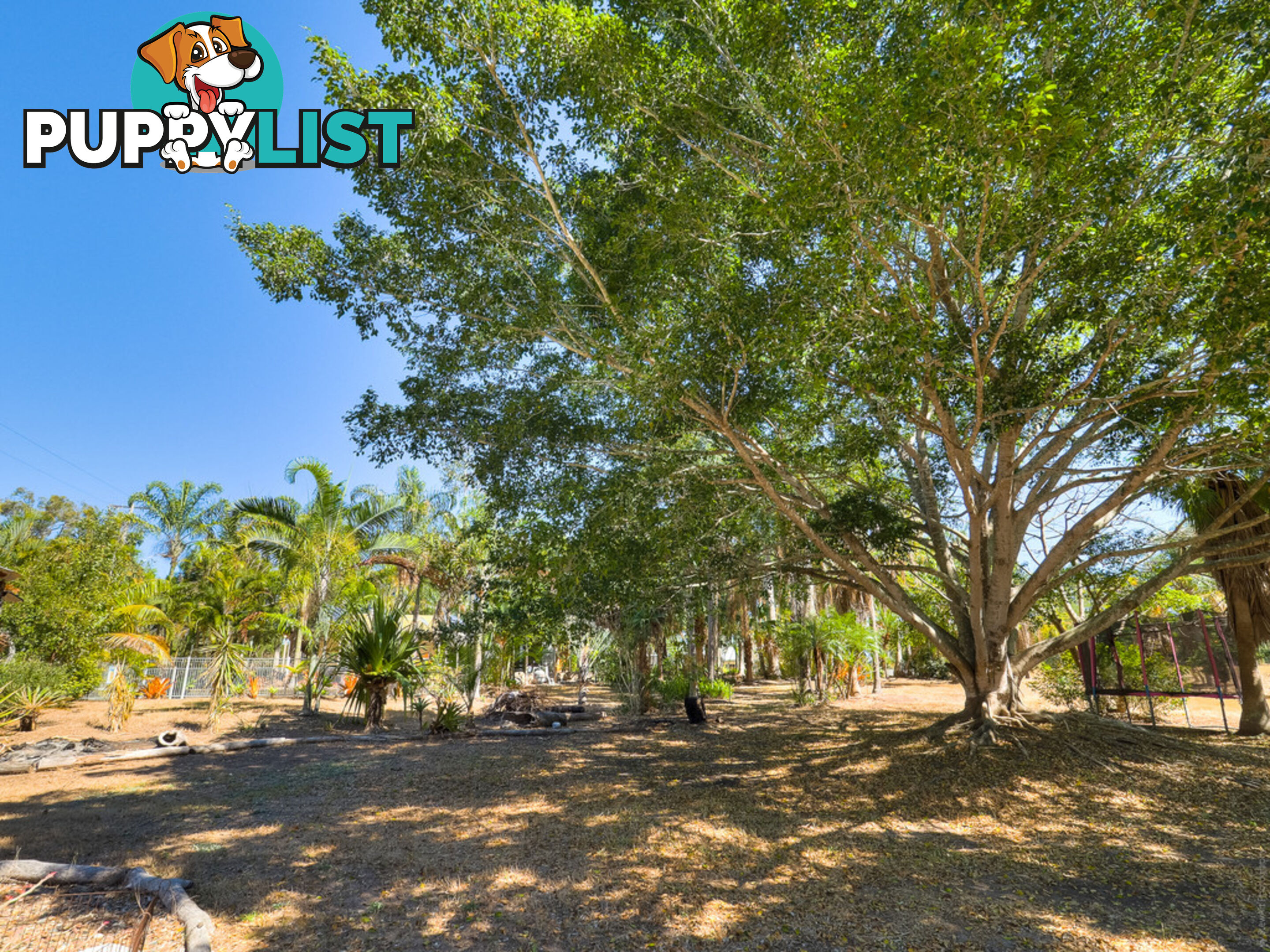 54 Dreamtime Avenue BURRUM HEADS QLD 4659