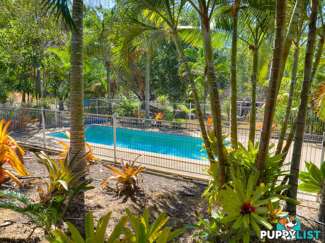 54 Dreamtime Avenue BURRUM HEADS QLD 4659