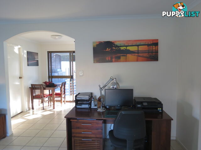 11 Hillrise Court PIALBA QLD 4655