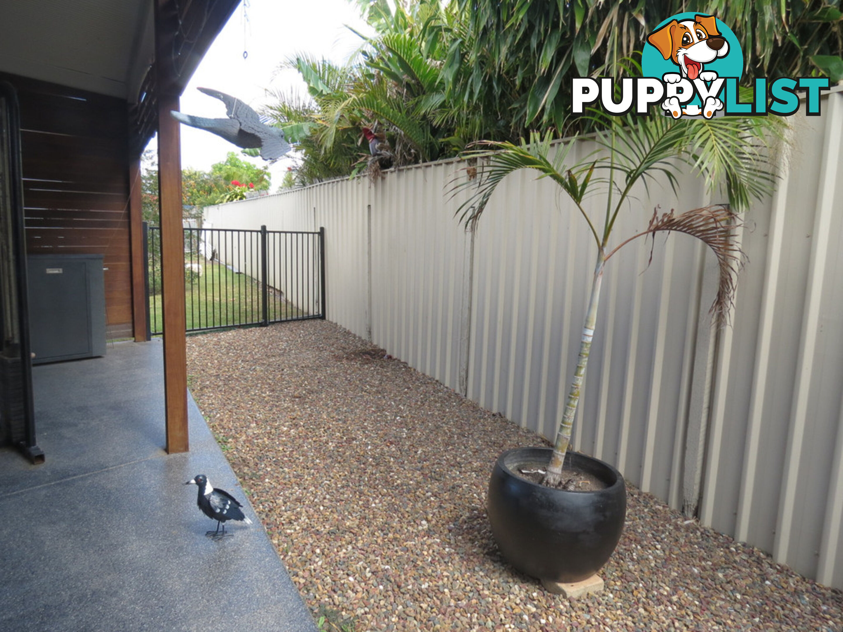 11 Hillrise Court PIALBA QLD 4655