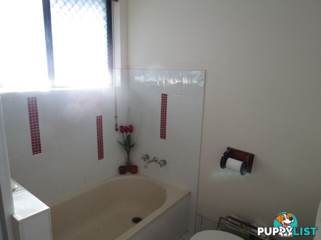 11 Hillrise Court PIALBA QLD 4655