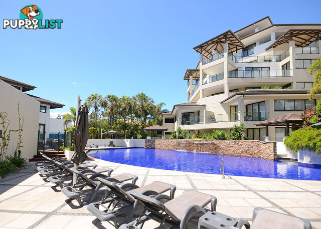 407/468 Esplanade TORQUAY QLD 4655