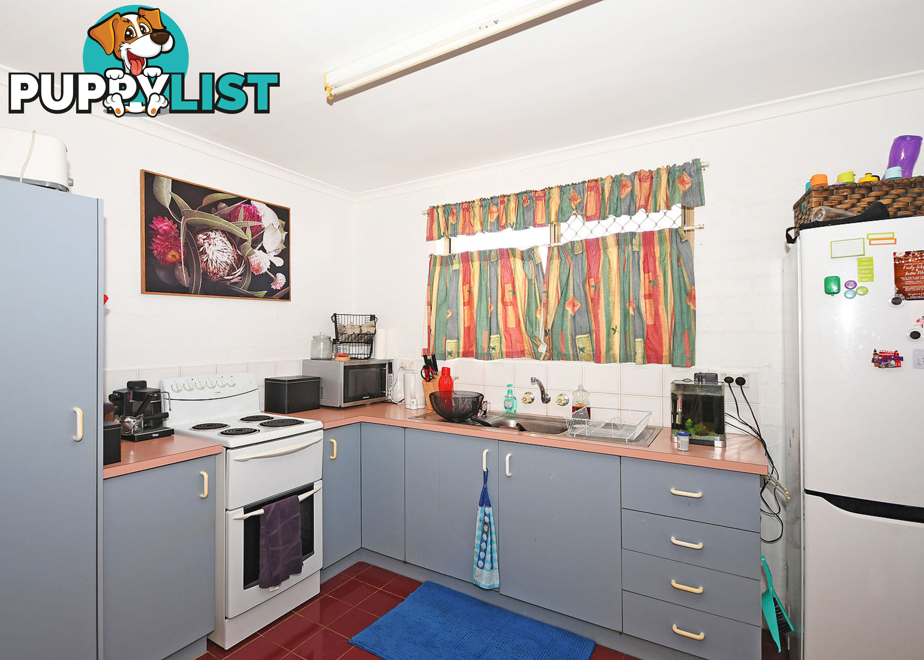 21 Honiton Street TORQUAY QLD 4655