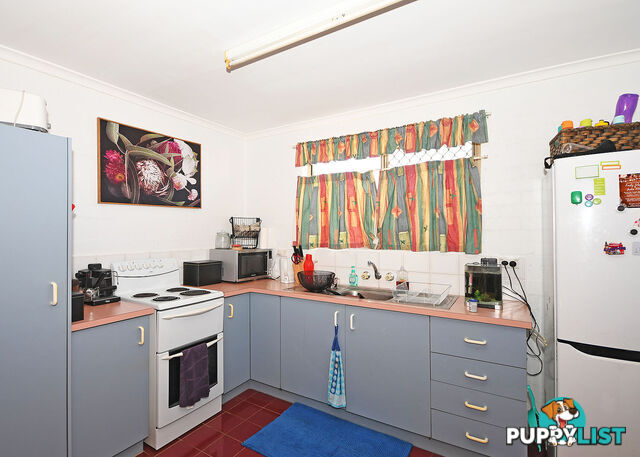 21 Honiton Street TORQUAY QLD 4655