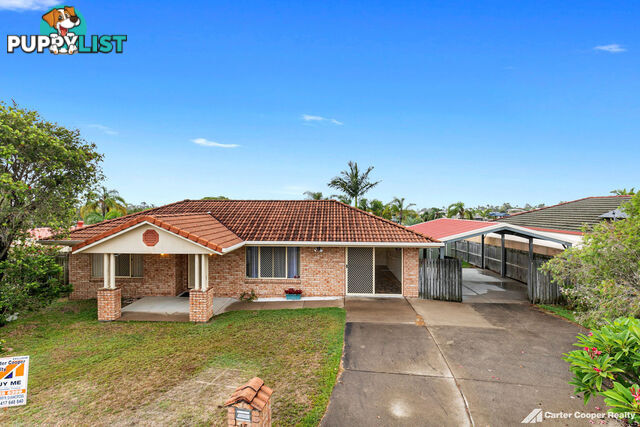 15 Pohlmann Court SCARNESS QLD 4655